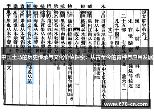 中国土马的历史传承与文化价值探索：从古至今的育种与应用发展
